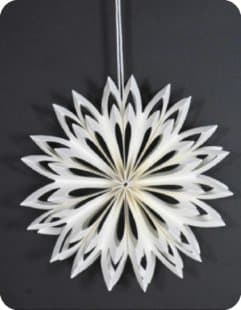 Decorative Paper Fans